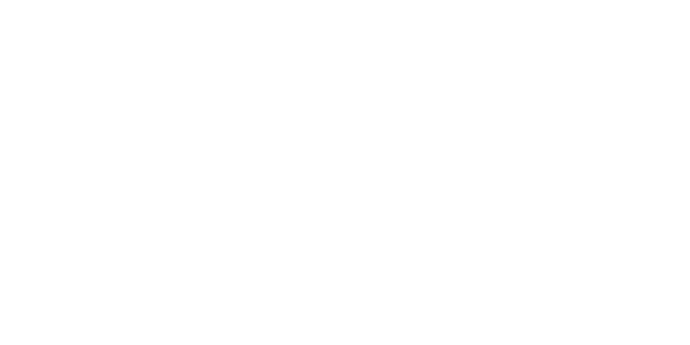 S.S. Enterprises logo